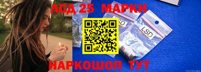 эйфоретик Берёзовский