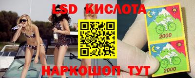 эйфоретик Берёзовский