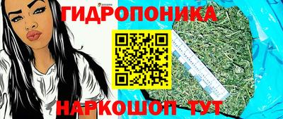 эйфоретик Берёзовский