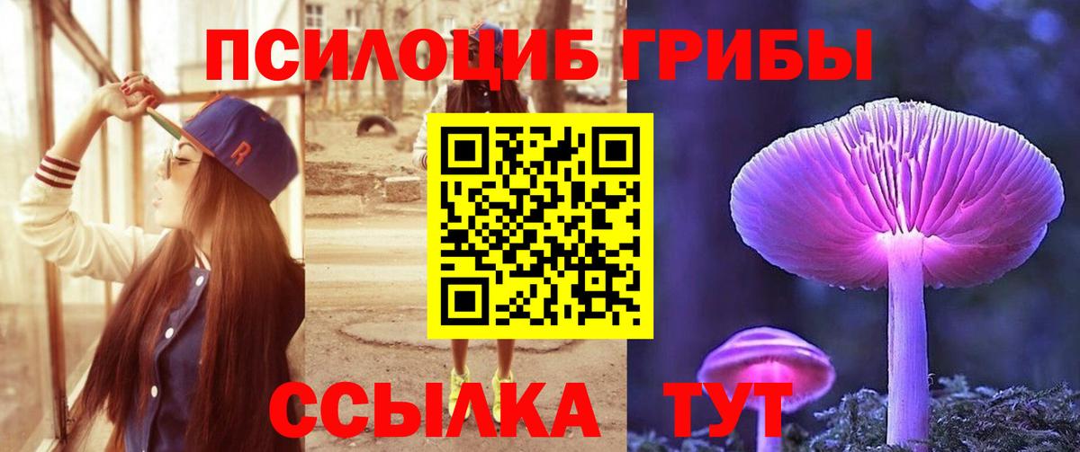 Псилоцибиновые грибы Cubensis Надым